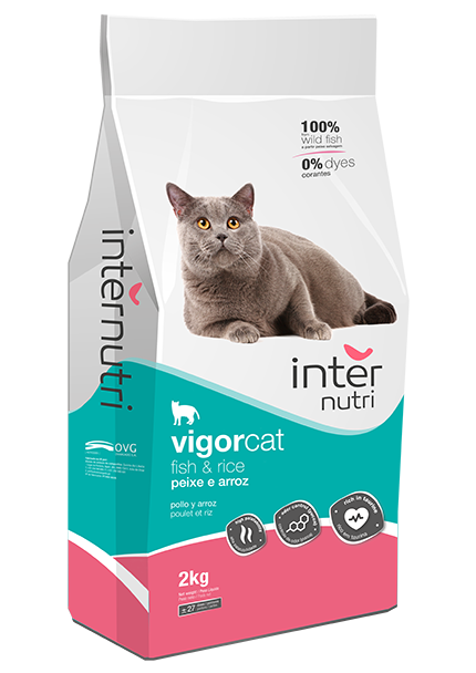 Internutri Vigor Cat